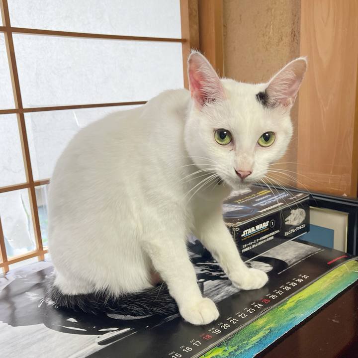 C19a07f4 2eb5 4013 bbd0 da32f04c9a1e 1763419855221