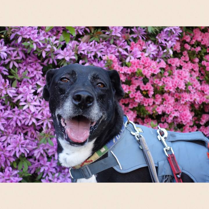 C19a1314 b93d 4f3a a175 eb2547e66918 1713490443820