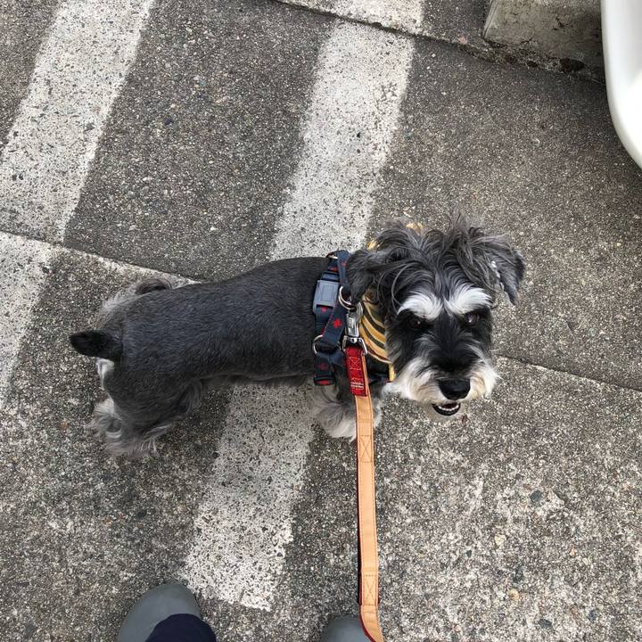 C19a264e f9dc 4999 aaaf 55b58abf8166 1657444955541