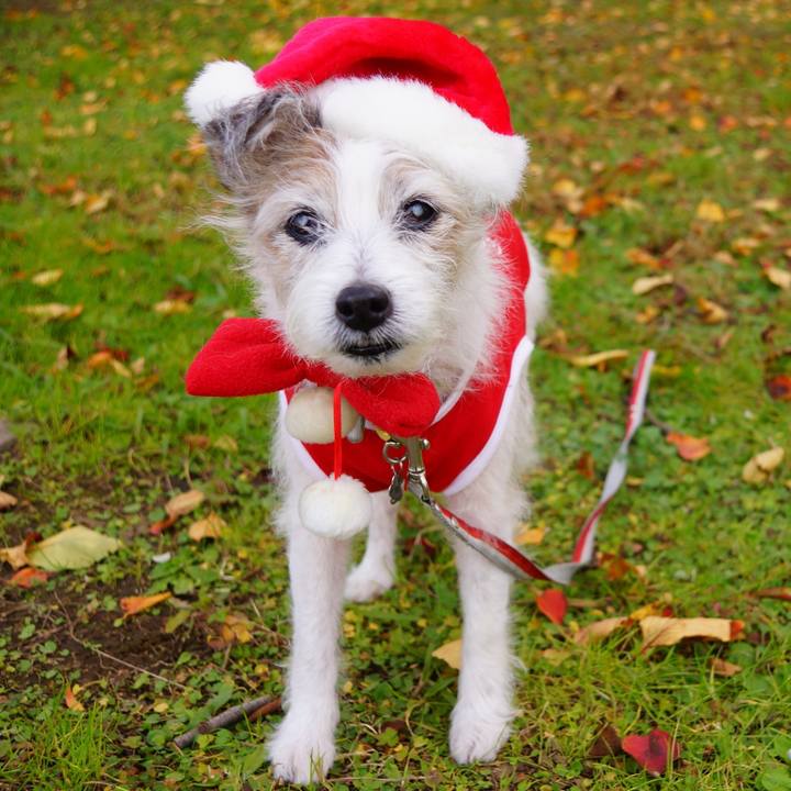 C19a5ab9 9758 42b9 8443 f36abedacb9a 1575456103376