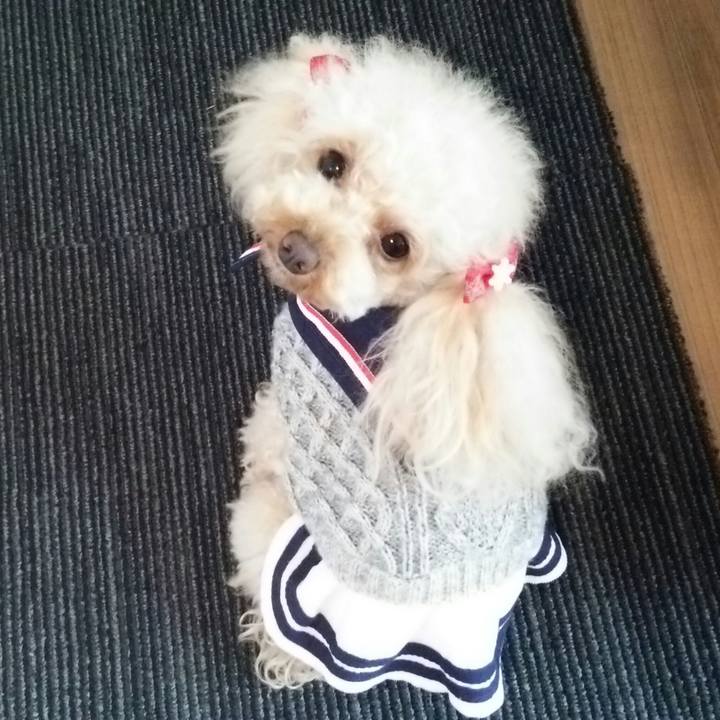 C19a8f74 b108 48a5 8967 8ee22a7d727e 1516016609486