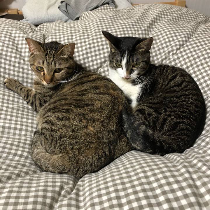 C19adeff fbed 4712 966b 7fbb98c97f20 1518916128999