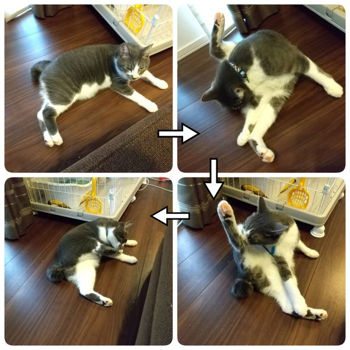 C19aefe0 3cec 43fb 8423 e1b81bb2a533 1601969963578