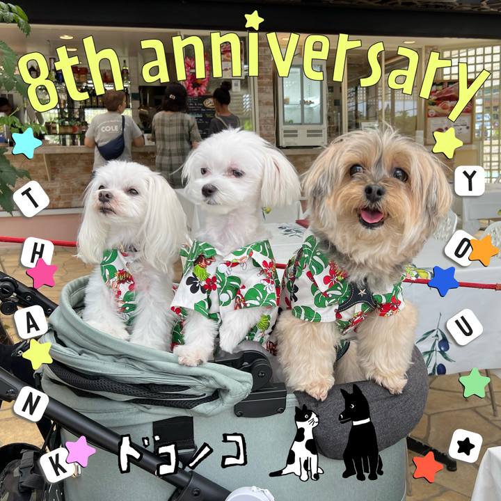 C19b290b a509 46b2 bce7 ed5a95b789d8 1717578875272