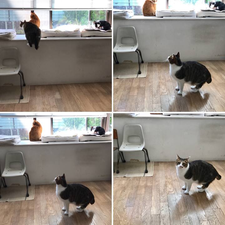 C19b6d08 ecd7 4b1e 9258 2546b3e507b1 1509163179532