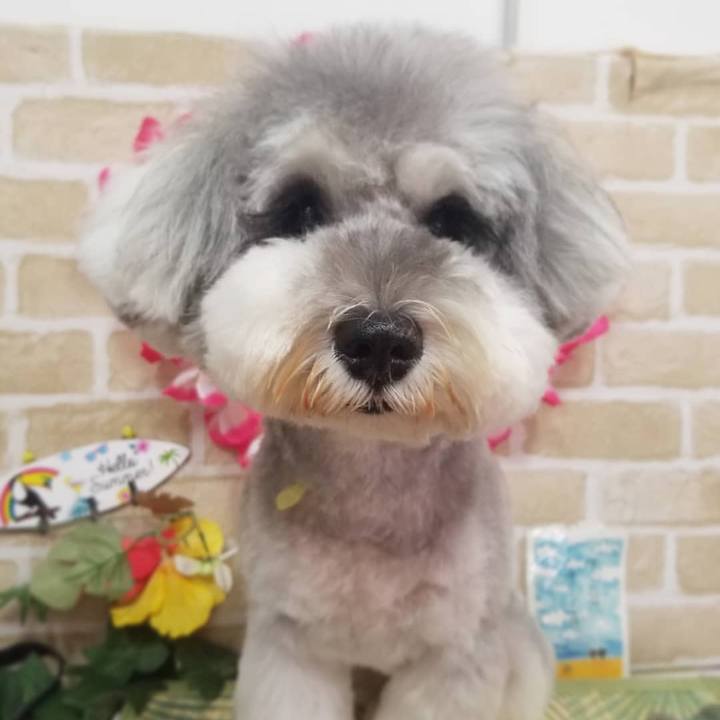 C19b73b0 de82 4fb7 8335 a54935ae2030 1626173632075