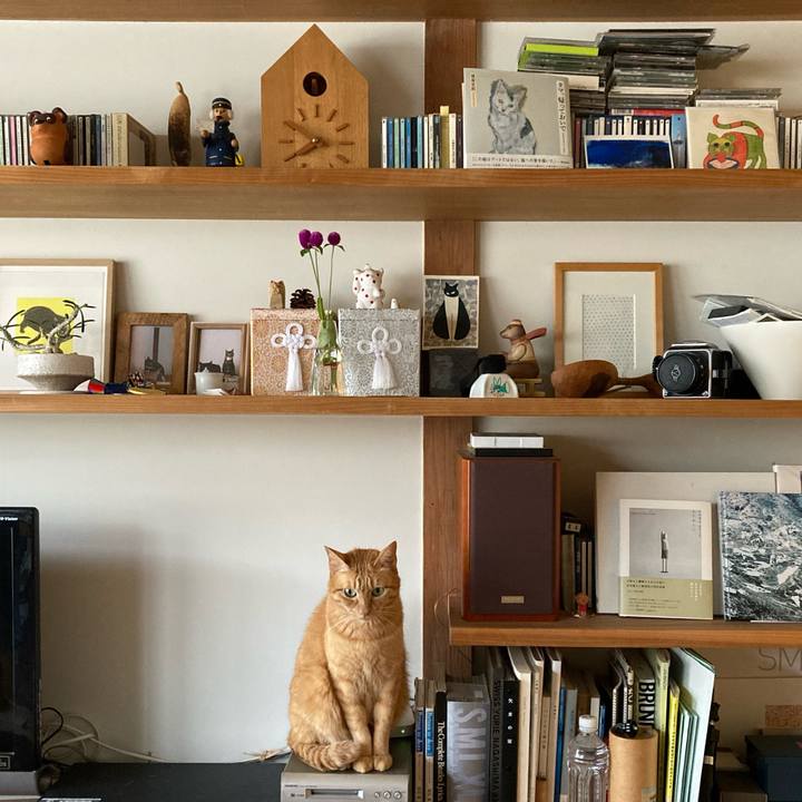 C19b8851 5e4e 4ca4 b522 288fb41080bd 1665184216739