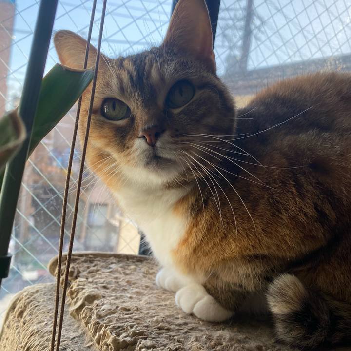 C19b88ed 1e62 42fe be63 693025790fa7 1682228979272