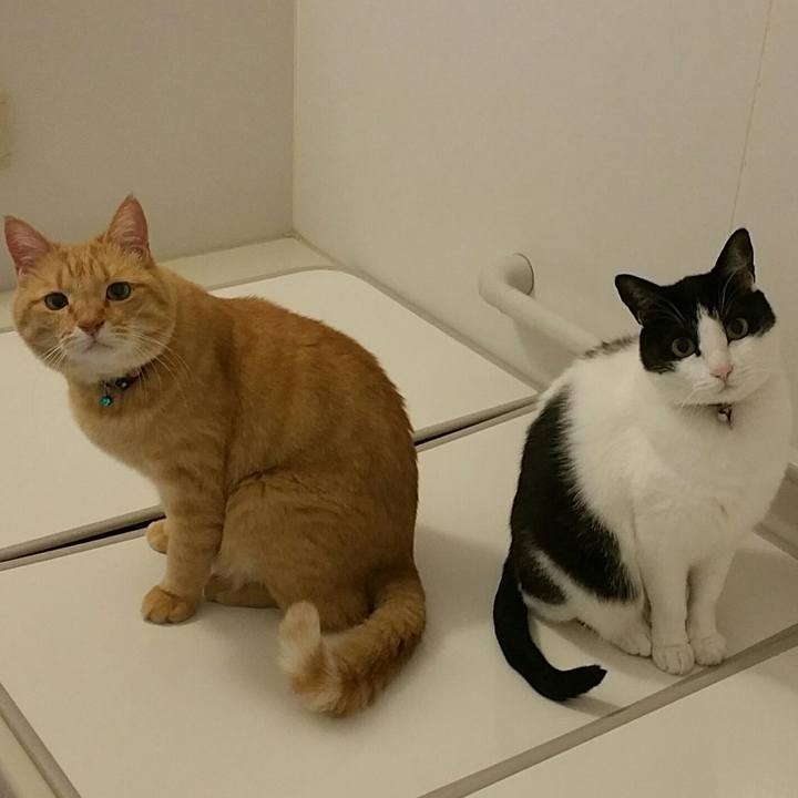 C19b9cdb 1b47 4f9f 8b27 fa15c4f4ae54 1577785260319