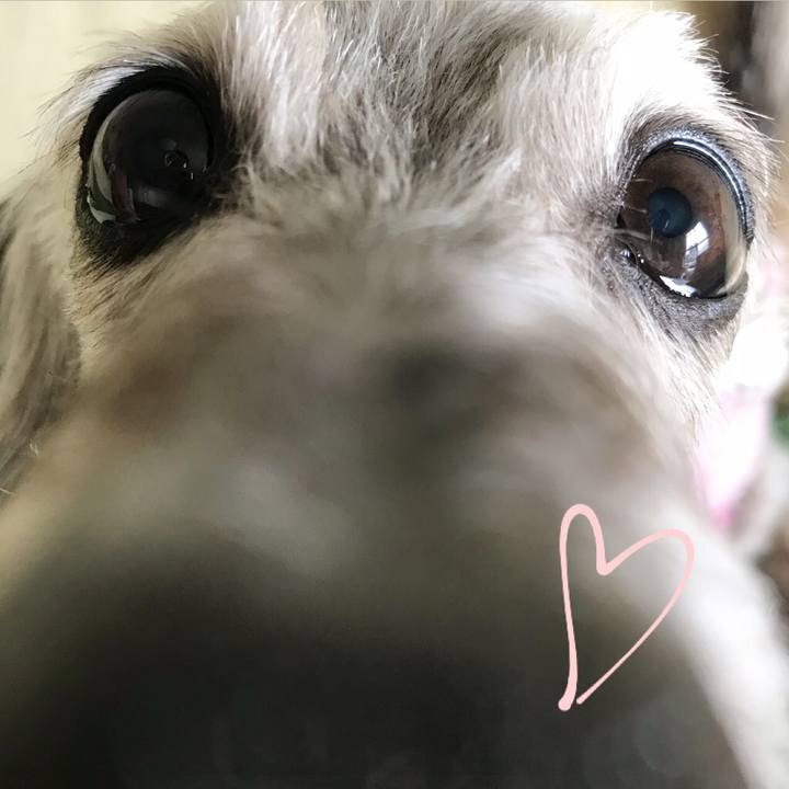 C19bb57a 07a5 4152 9ff7 0b4ff2229606 1520646643117