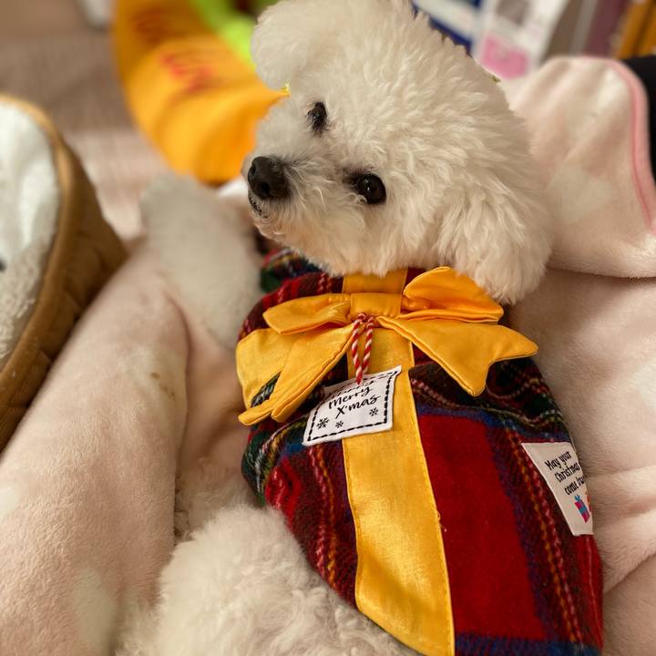 C19bcbe9 ff4c 49f1 8dac 21bf59cb6f45 1703295006913