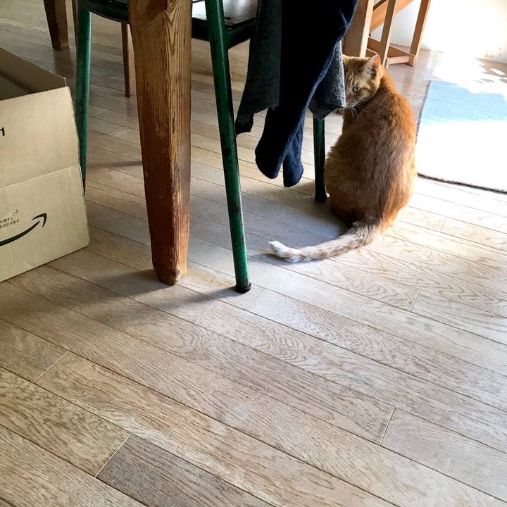 C19c0636 15dd 42a0 9f7d e7da018d885a 1541067508117