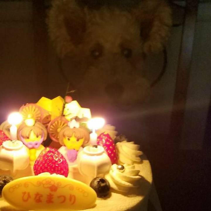 C19c5b9c 1faf 4625 b93c 7abc6f758b1f 1520083856670