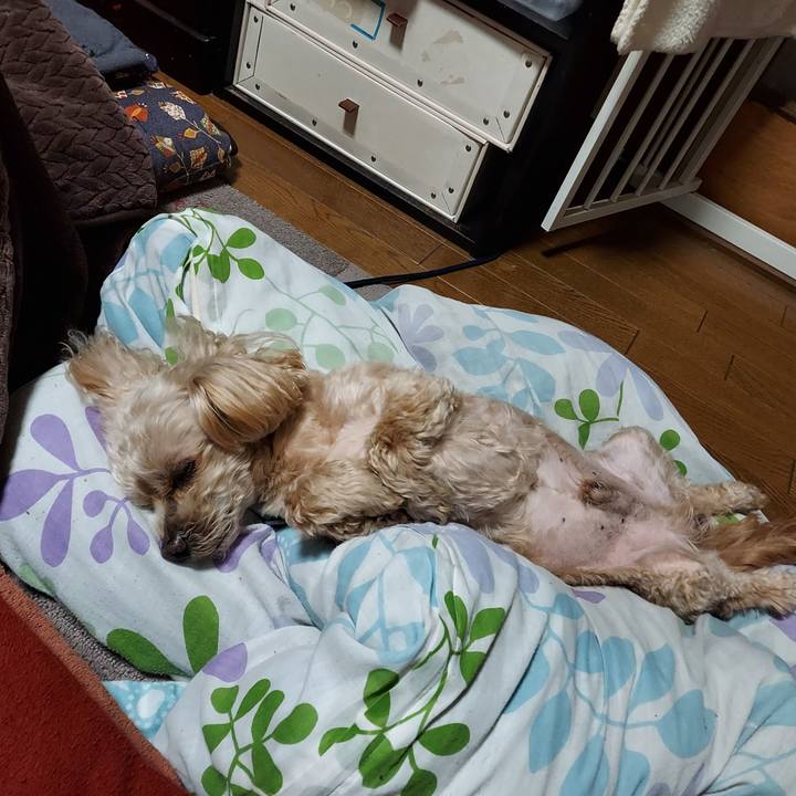 C19c88d1 348f 4306 bb45 bd2496cb8d43 1711097500636