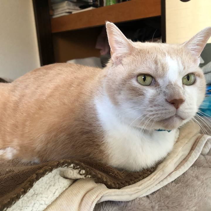 C19ca7c9 ef08 4f42 a808 c94819c11429 1608360247836