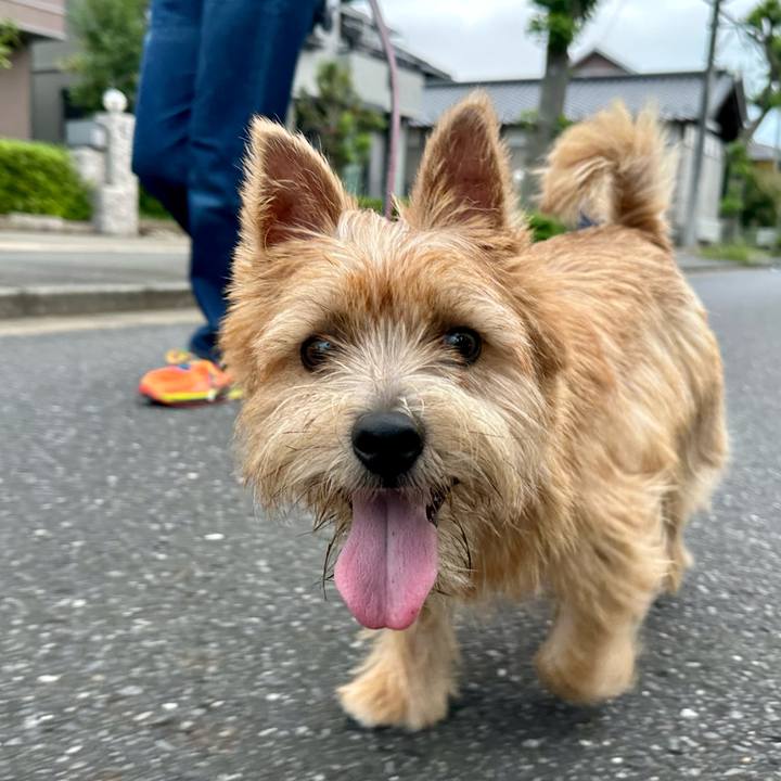 C19cd132 5f3f 4568 ba0a 0e3f272ccdfe 1728227445918