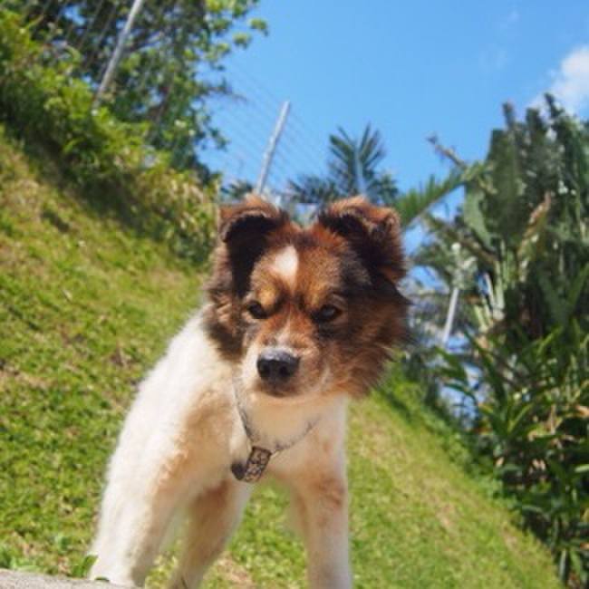 C19d01c2 0d07 45da 9924 7880ce99d159 1613628213757