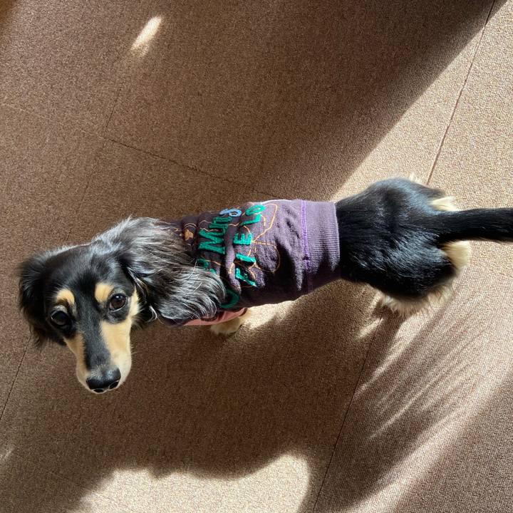 C19d7aae 18a2 4b33 afce 676d05f5536e 1734667090903