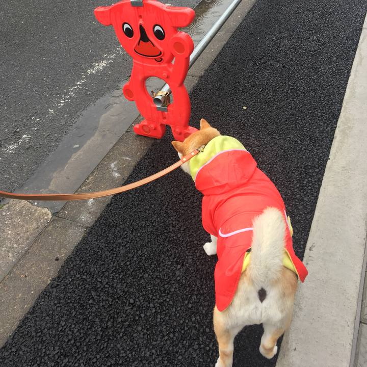 C19d8bf9 bb42 4f94 8996 4eba031edbbb 1583636191535