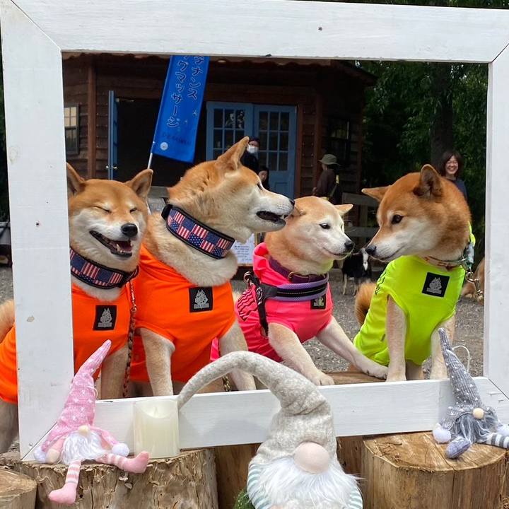 C19da9ed bd5b 4e20 87d4 fcfb0a342b9c 1685417035940