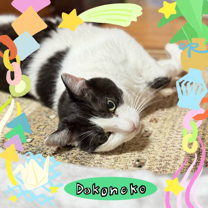 C19de838 84a5 451d 9b12 2af2201be967 1755223082784