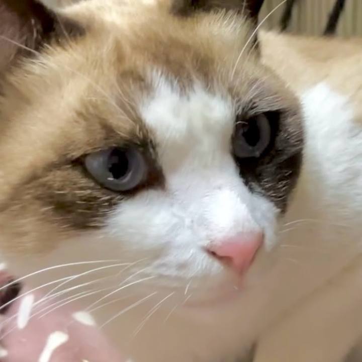 C19e2284 a684 4e34 9301 4ad519ba2d66 1732526954370