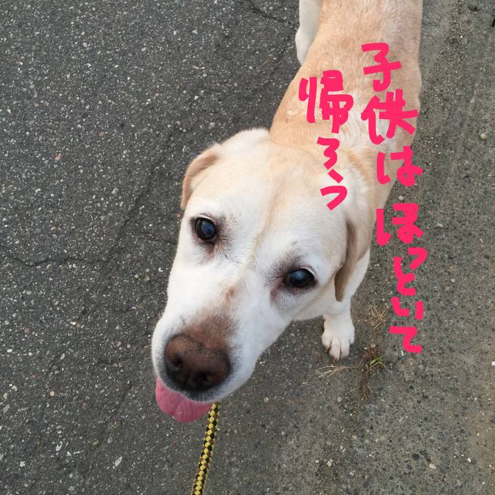 C19e71e5 d2b9 4fcb a494 d4c4bb6b718f 1532281930162