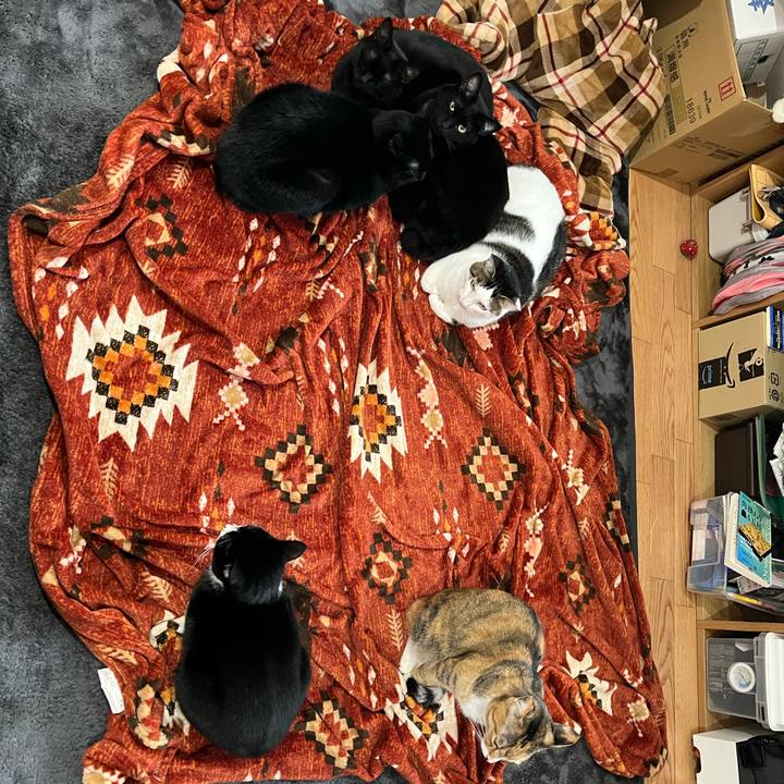 C19e7412 b63d 46cc 9ae6 046069c2aa03 1642081794571