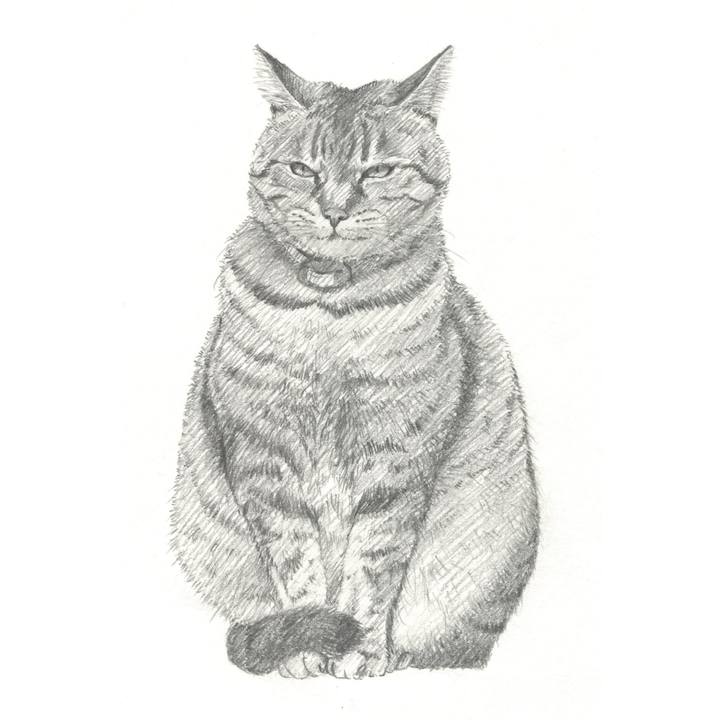 C19ece0c d53d 4a74 adb5 4d0dbdf23fc9 1542114392845