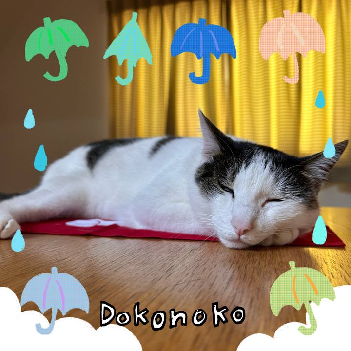 C19f061e 6f6b 484b 8720 f7f6746323ff 1718319396896