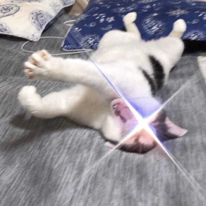 C19f09e7 36c9 4c01 aa91 505bde49deb9 1532788942386