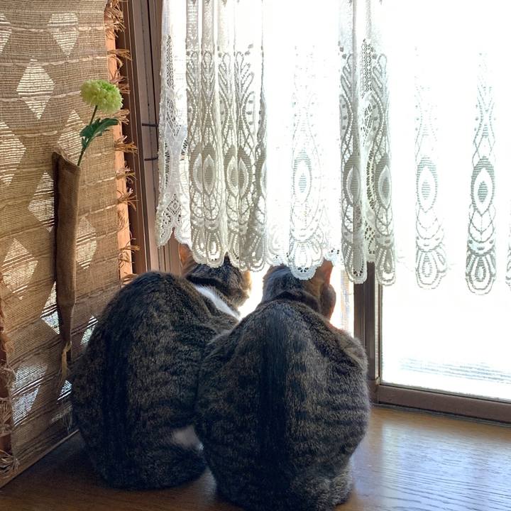 C19f0d99 6529 4063 b777 5b49d4d8c153 1558510360970