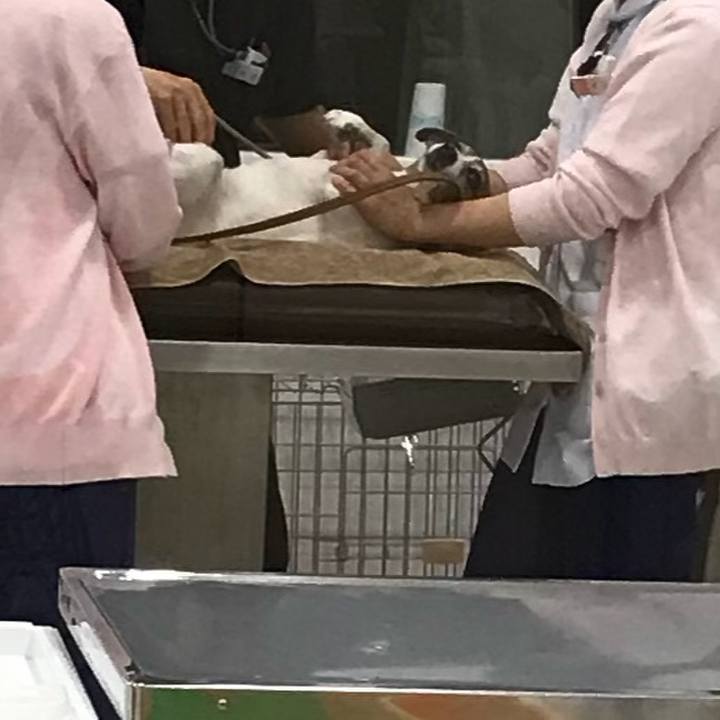 C19f10d7 be18 41d7 98fc 19444e1dca5c 1509623653296