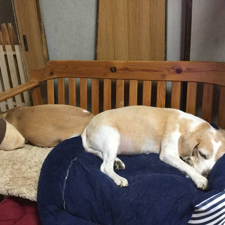 C19f15bb cade 49a9 80a1 ec91853ddb8a 1589286045013