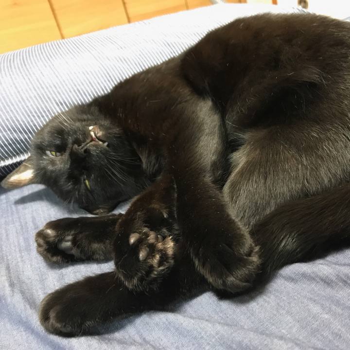 C19f2557 5044 421f af67 4ef59b01c866 1507857785319