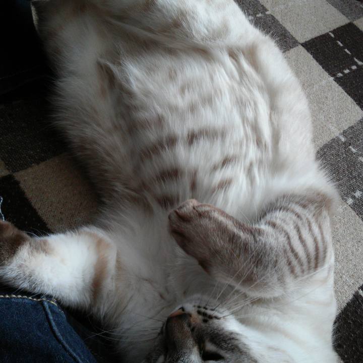 C19f921f 920d 41bd bf48 a2f3d90e9b6b 1513212858114