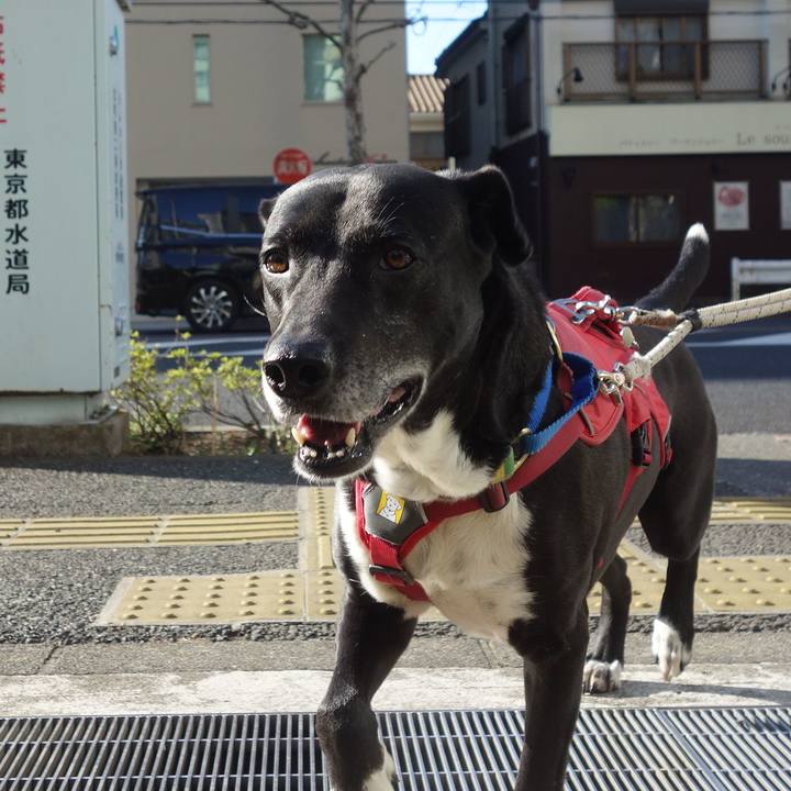 C19f9972 efb6 4c44 a982 cde1058dc059 1681092930295