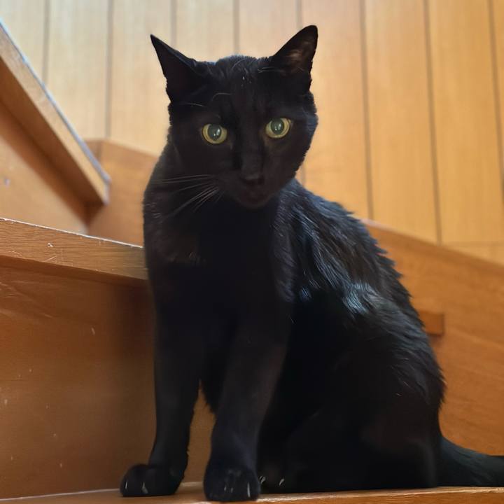 C19fc7a0 9c39 4418 8cb8 33c1f0bfeb05 1691628360687