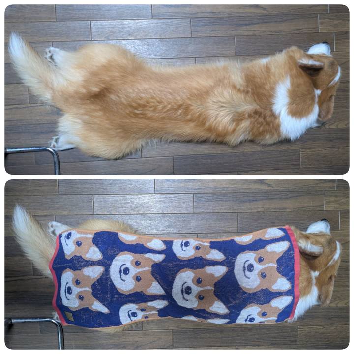 C19fcd58 fd31 48f4 bc51 49618cbae3c2 1765719170962