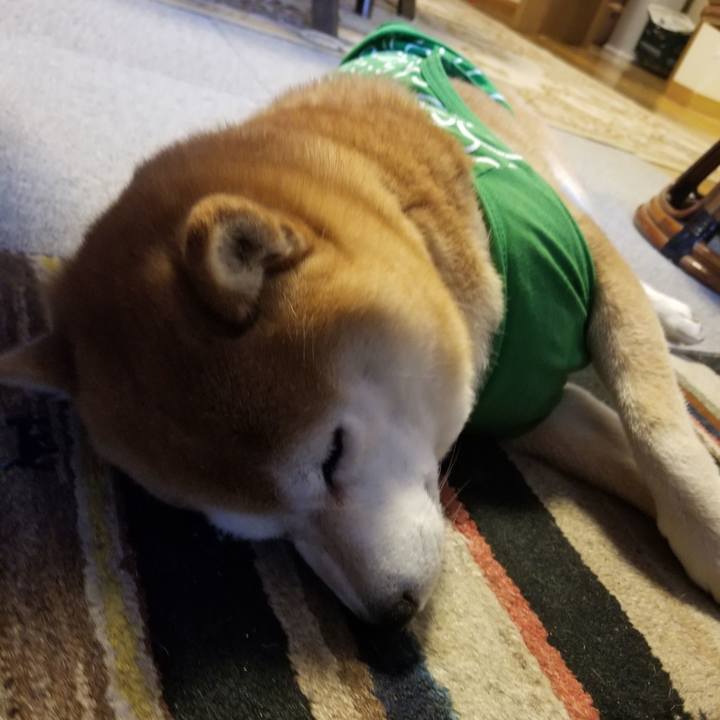 C19fd1f3 810c 41b3 b8f5 a34a89168a92 1585004628696