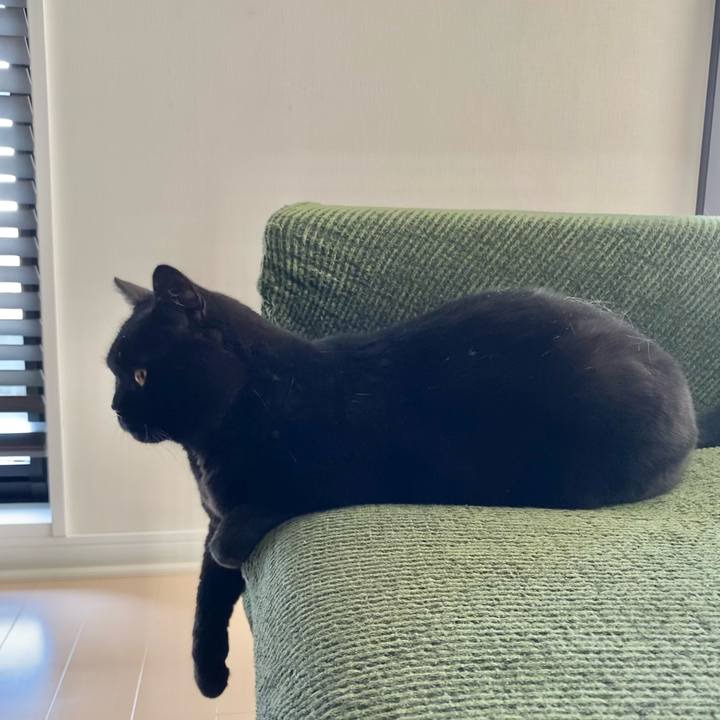 C19fd8d0 14db 4a57 a1ba 0f4330a8ddee 1619062617588