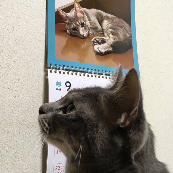 C1a03d16 c504 4e11 a817 3c83a31afc2c 1536325461069