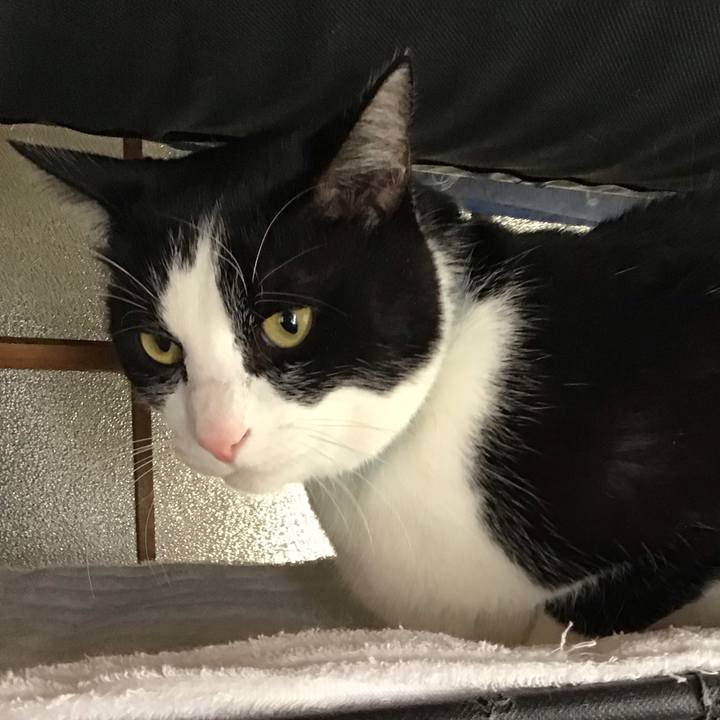 C1a0492e c780 47cf 92a3 f8424584e292 1735613889387