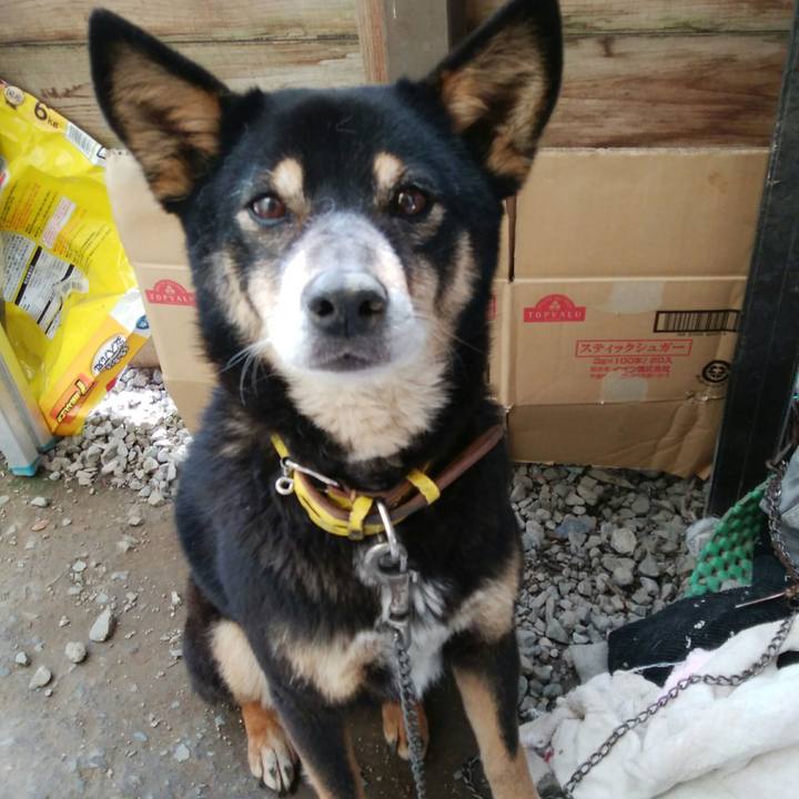 C1a0730e 6925 416c 96dd 7939f11a2858 1521258178681