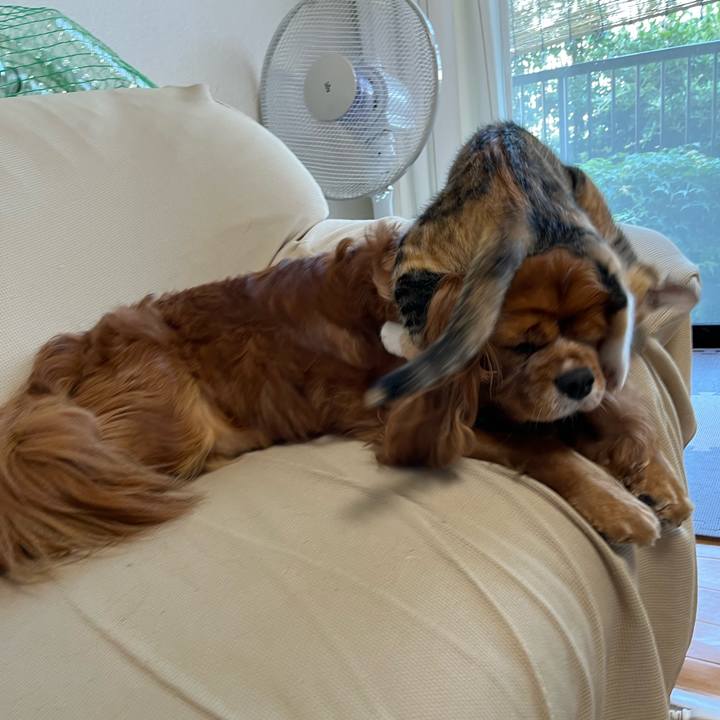 C1a0b0d3 e293 4bfa 8efa bcd887038337 1654468155478