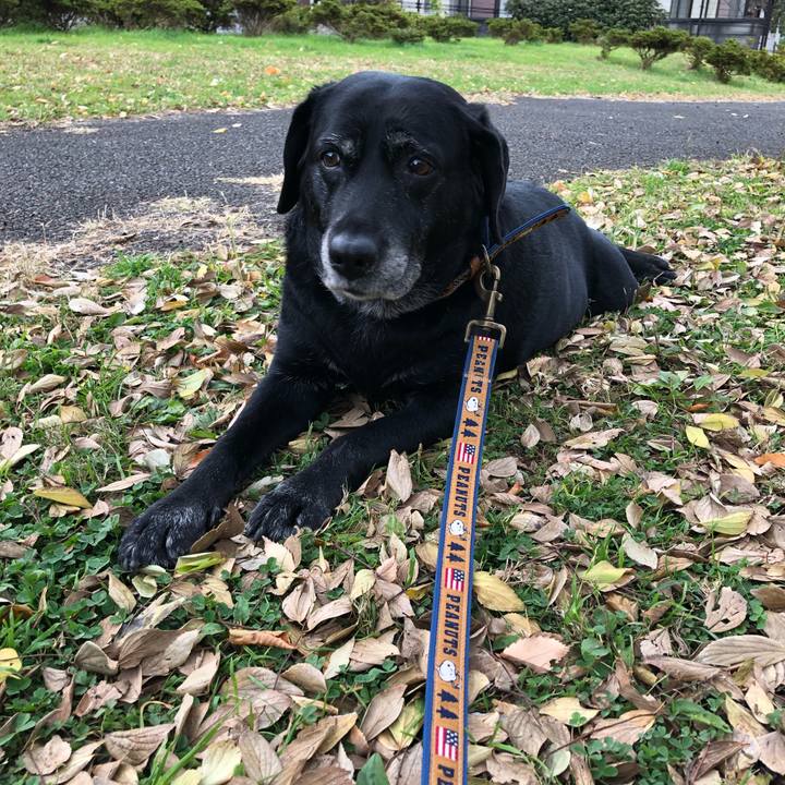 C1a0d7c1 1af4 4654 b8ed 3f7b388305c0 1605836136022