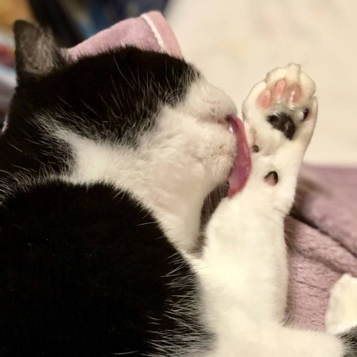 C1a0e854 2dbe 49da a7c1 1bac90ae7bd6 1581070182133