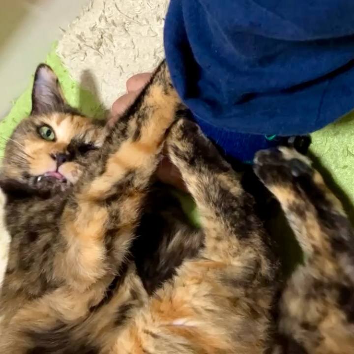 C1a0e866 d46d 44f8 ae77 6c8b96c13e23 1728812968595