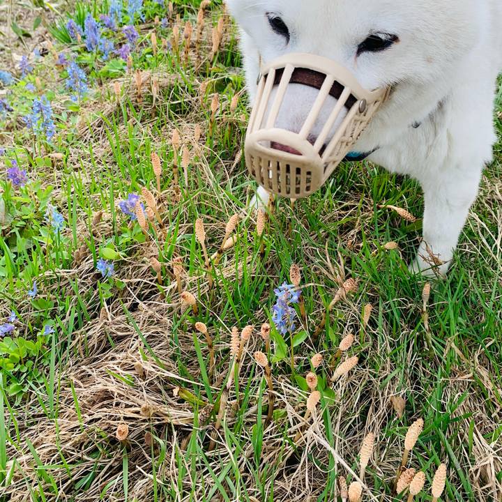 C1a1030e 6879 46d3 a961 901108a96c6f 1682115119078