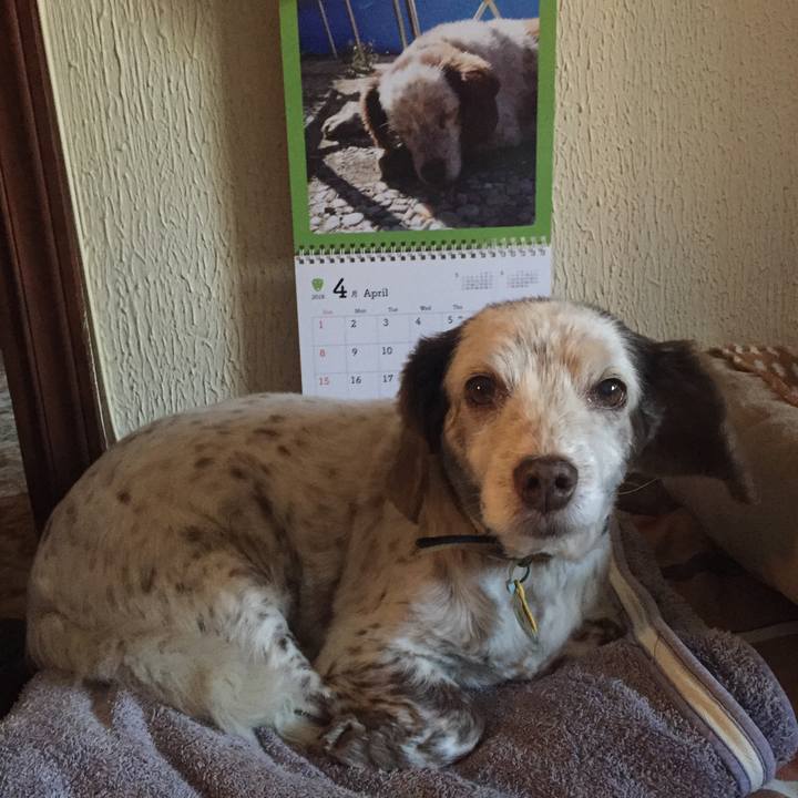 C1a10537 2519 4f8f 9e5e 342556dc406c 1521619774499